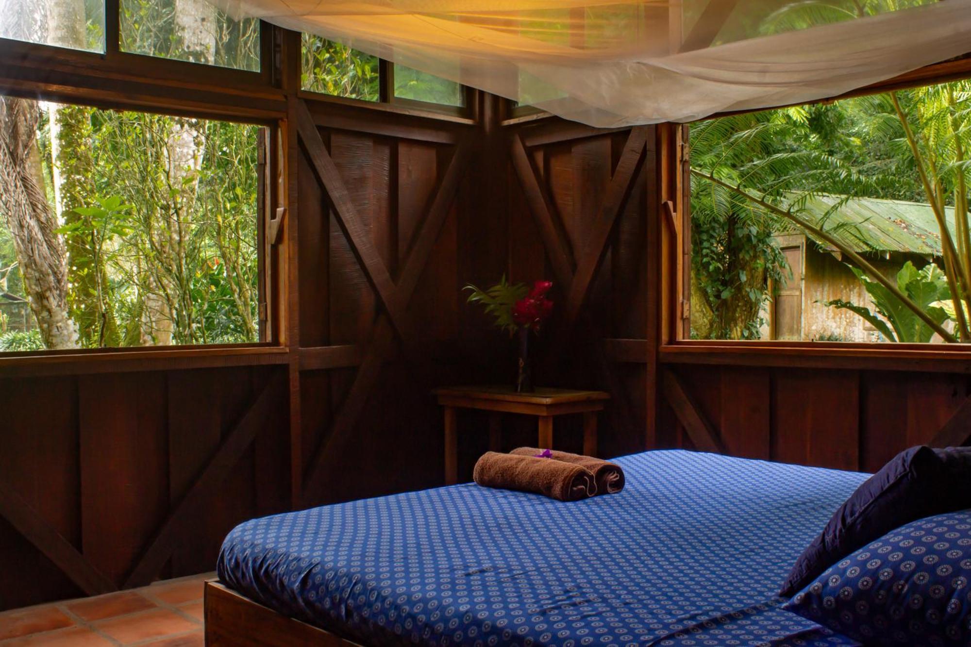 Casa Heliconia - Spacious, Big Garden, Close To The Beach Puerto Viejo de Talamanca Buitenkant foto